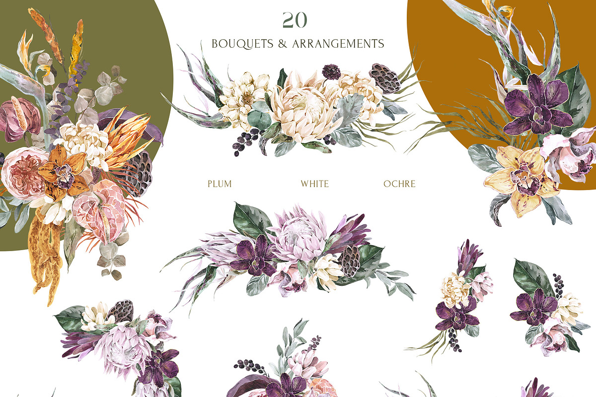 Tropical Jungle Floral Watercolor, an Illustration by Cat In Colour (Photo 5 of 8)