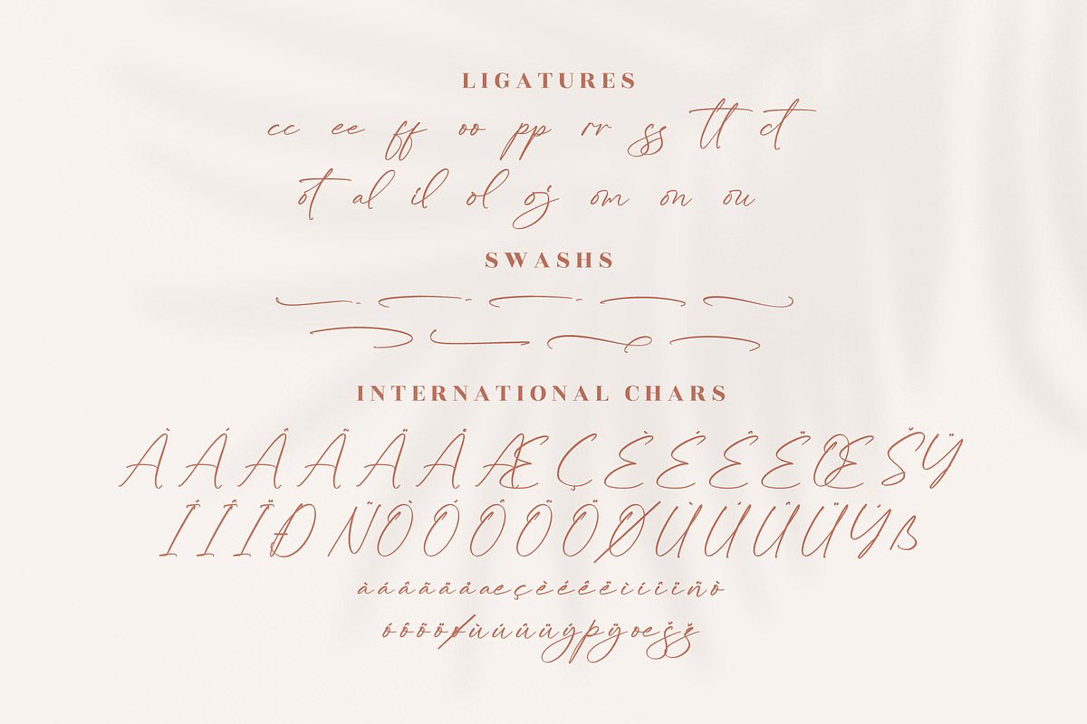 Kaldista Project Modern Signature, a Script Font by Letterena Studios Script (Photo 14 of 15)