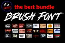 Brush Font Bundle 45 Fonts