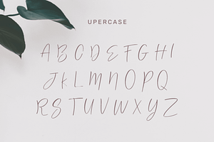 Cinthia Bloom: Elegant Font