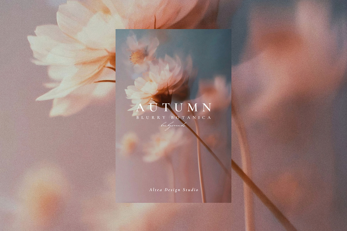 Autumn Blurry Floral Backgrounds, a Background Graphic by Altea Design Studio (Photo 9 of 15)
