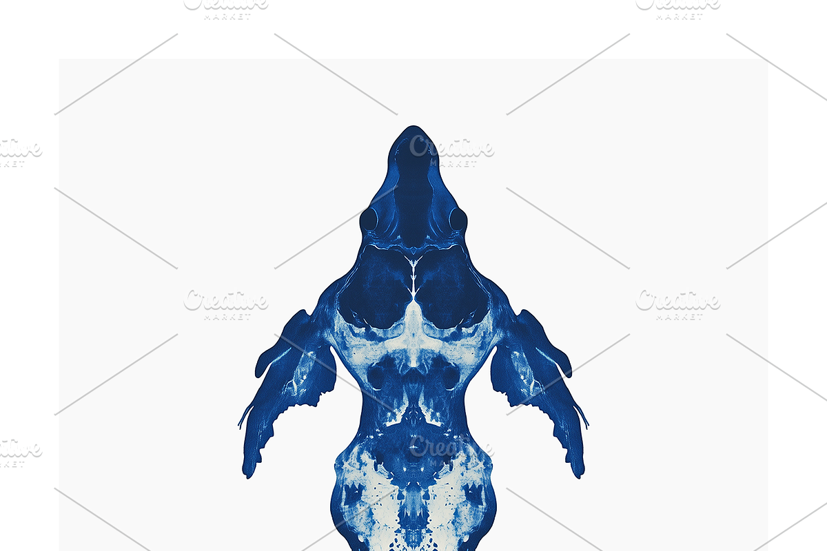 Tona Co. Totemic Cyanotype Inkblots, an Animal Illustration by milatovar (Photo 18 of 19)