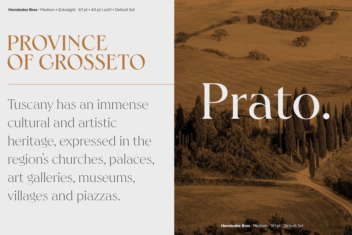 Hernandez Bros, a Serif Font by Latinotype (Photo 5 of 15)