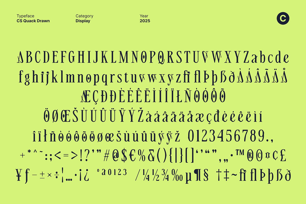 CS Quack Drawn, a Serif Font by Craft Supply Co. (Photo 8 of 8)