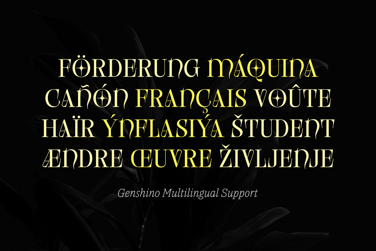 Genshino - Elegant Fantasy Serif, a Serif Font by Typia Nesia (Photo 5 of 18)