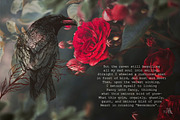 Nordic Birds Ink & Watercolor Set, an Illustration by Fluffy Unicorn (Thumbnail 9 of 12)