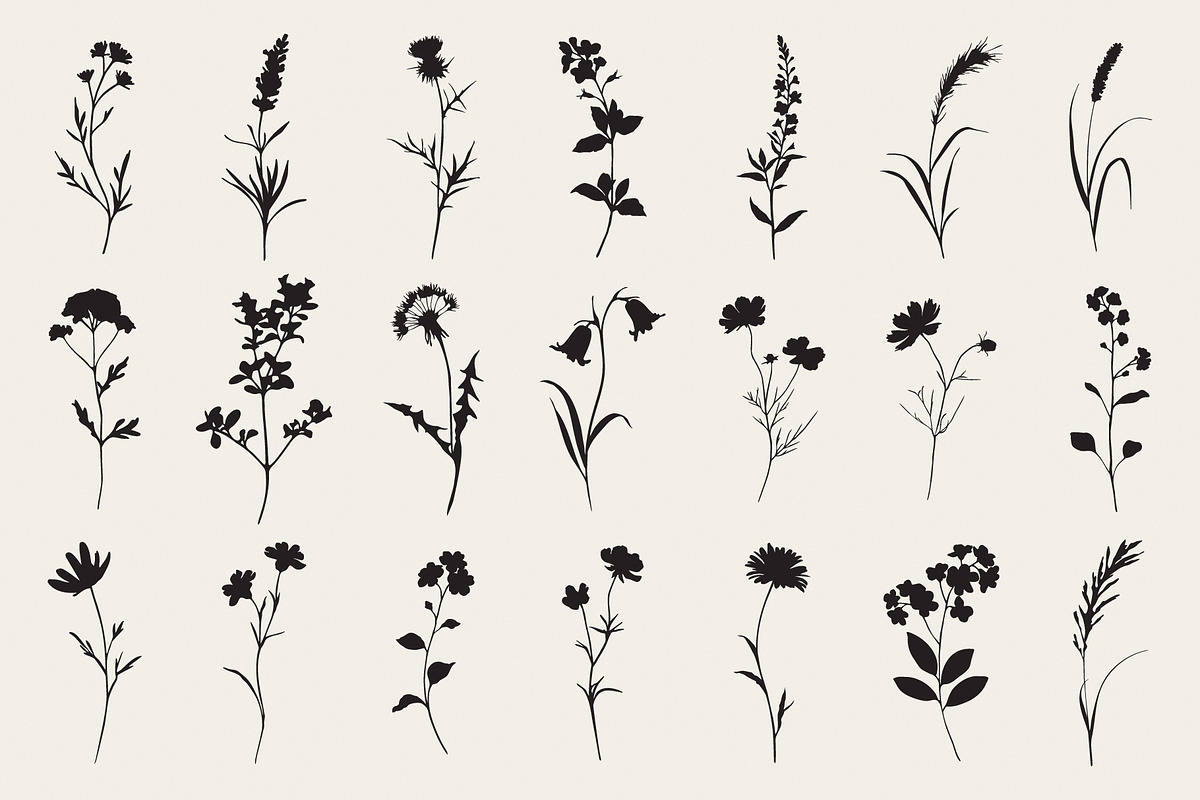 Botanical Flower Silhouettes Set, an Object Illustration by NatalieArtShop (Photo 2 of 12)
