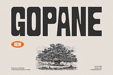 Gopane || Bold Display Font
