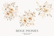 Beige Peonies, a Decorative Illustration by PeDe Designs (Thumbnail 4 of 9)