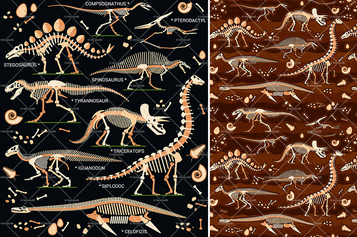 Collection of Dinosaur Skeletons, an Animal Illustration by Moloko88