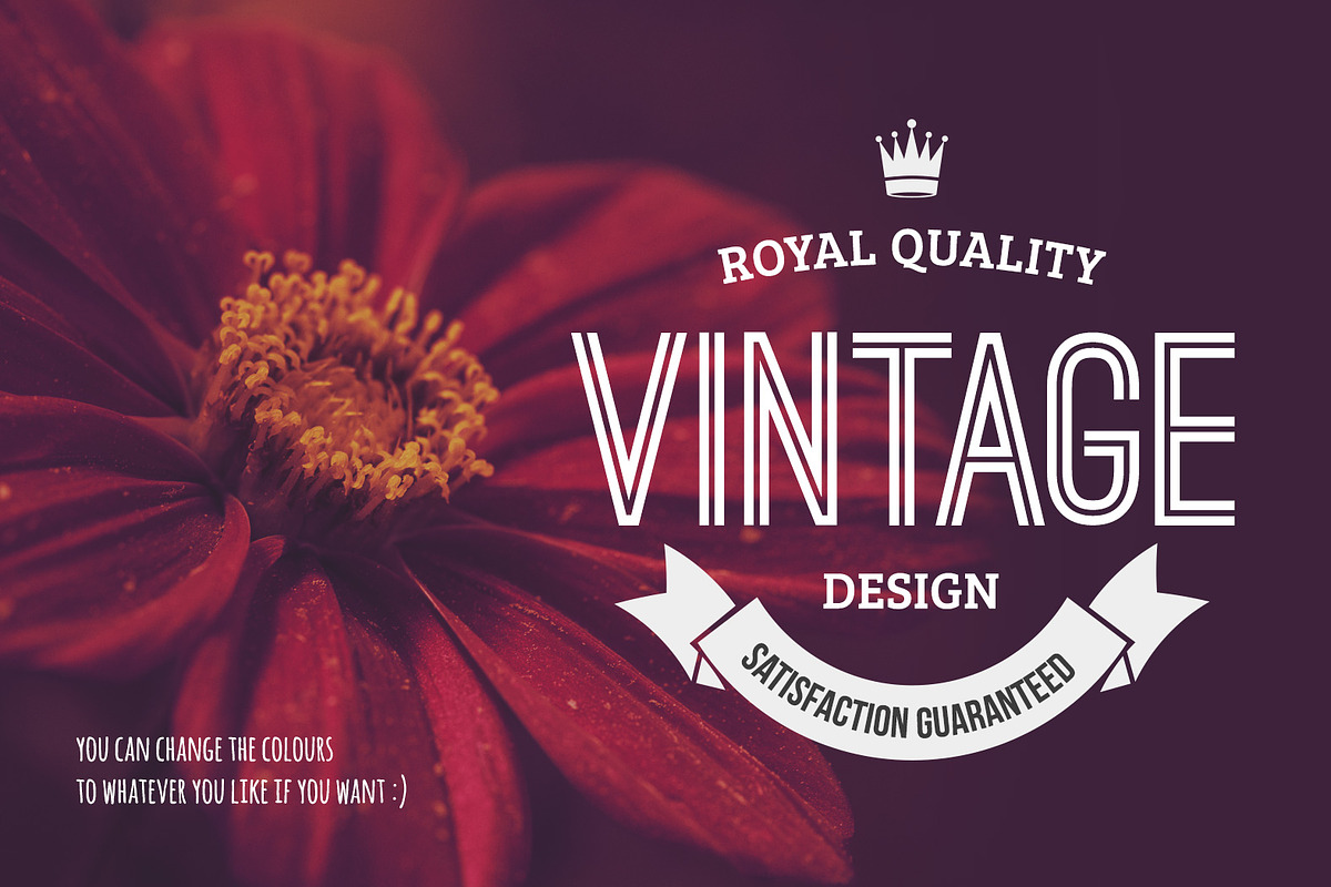 Vintage Insignias and badges, a Branding & Logo Template by Mikko Lemola (Photo 2 of 3)