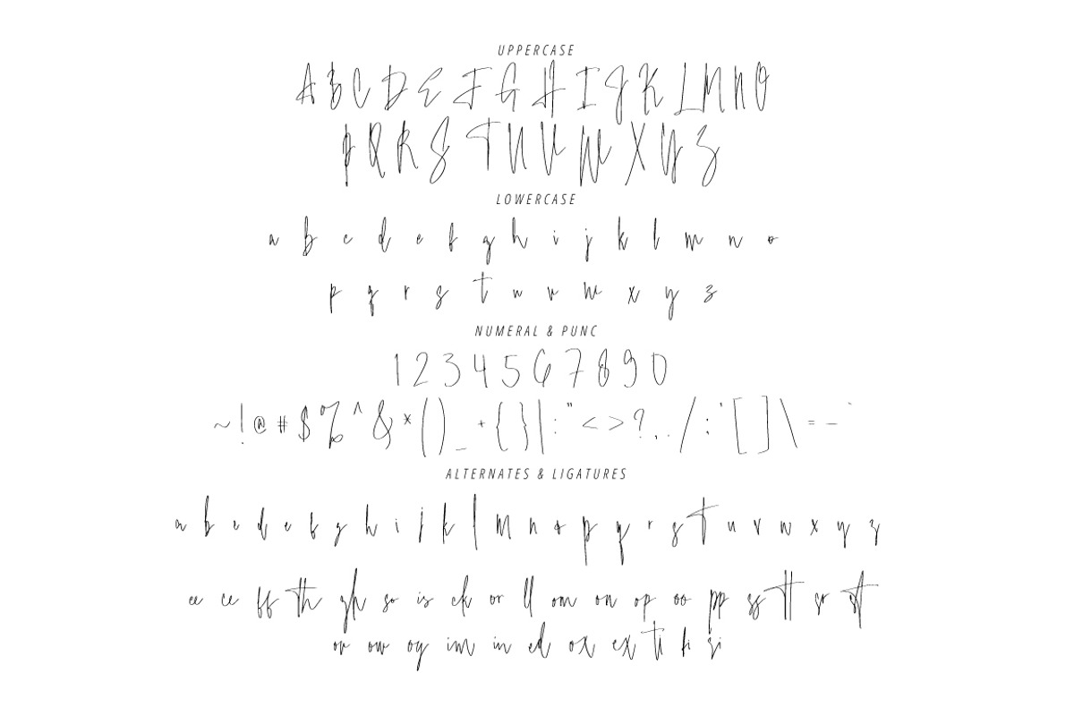 Amistarline - Handmade Signature, a Handwritten Font by tebaltipislab (Photo 10 of 11)