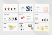 Project Proposal PowerPoint Template, a Presentation Template by evgenystudio (Thumbnail 9 of 9)