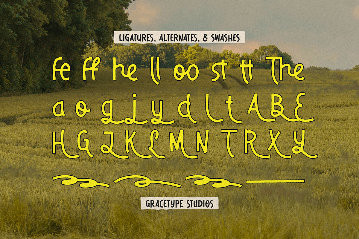 Dirello Meadow | Playful Hand Drawn, a Handwritten Font by gracetype_studio (Photo 11 of 12)