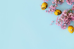 Happy Easter! Modern yellow eggs and lilac blossom flat lay with, a Holiday Photo by Sonjachni