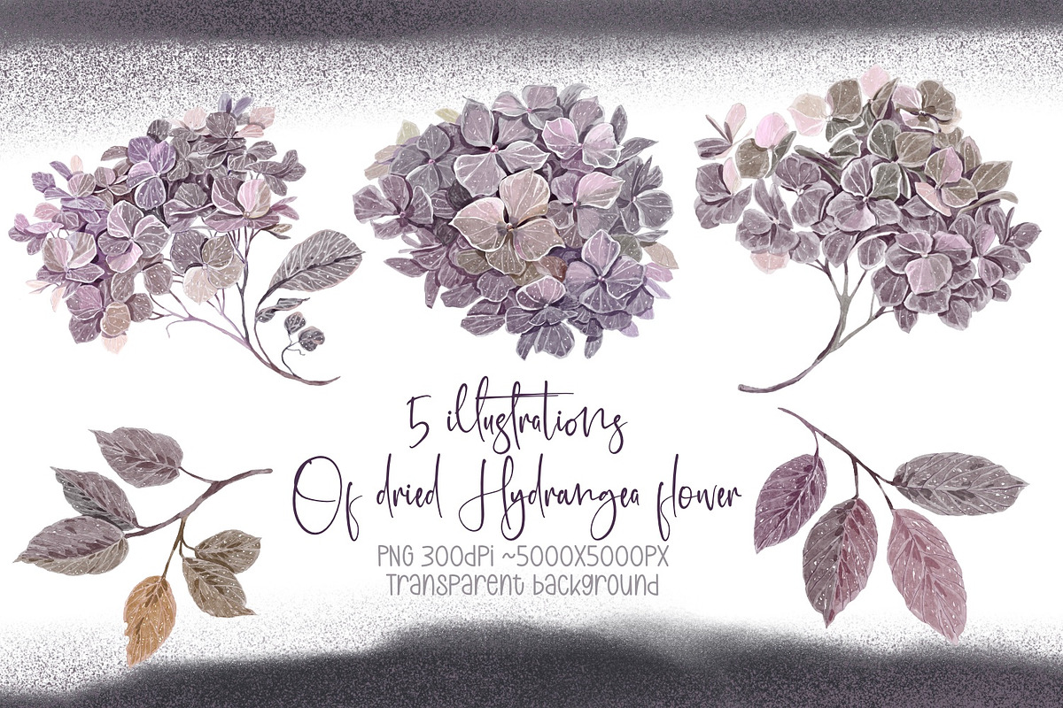 Boho Mystery Halloween collection, a Decorative Illustration by Shabbypie (Photo 2 of 14)