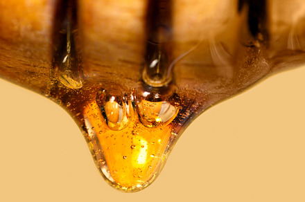honey dipper close up with the organic product flowing