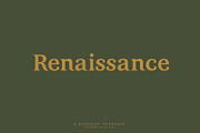 INFERNO Serif font, a Serif Font by Artistic & Unique (Thumbnail 14 of 17)