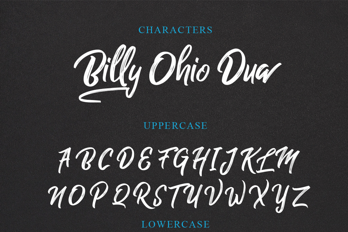 Billy Ohio Typeface, a Script Font by alit design (Photo 10 of 15)