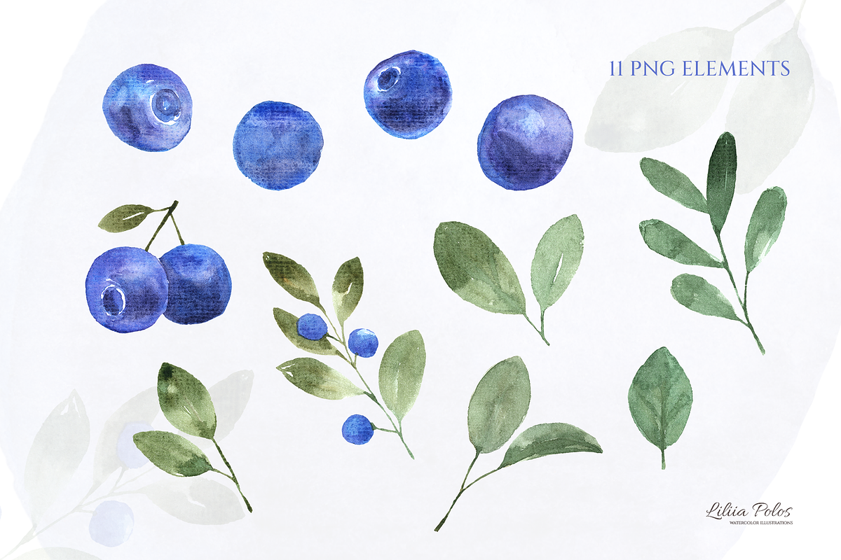 Blueberries. Watercolor Pattern, a Decorative Illustration by Liliia Polos Illustration (Photo 5 of 8)