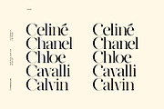 Par Realisation - Serif Typeface, a Serif Font by TypeMaison (Thumbnail 6 of 14)