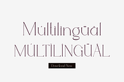 Cafgirst - Luxury Font, a Serif Font by Iqsiart Studio (Thumbnail 6 of 16)