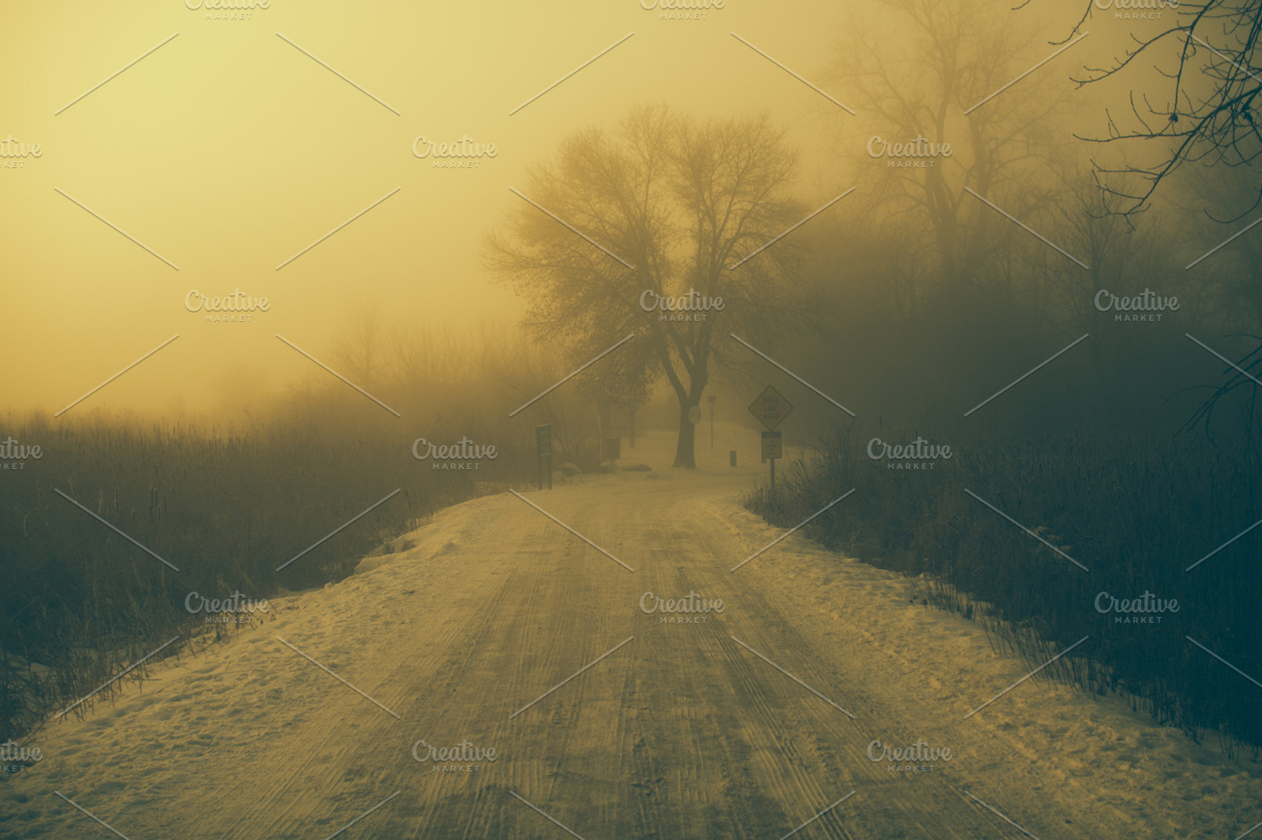 Foggy and snowy road containing illinois, field, and power lines