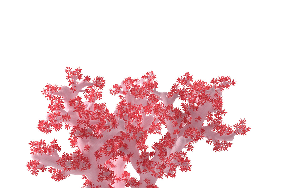Acropora aasp 1, an Environmental 3D Model by AndrewWhite (Photo 10 of 11)