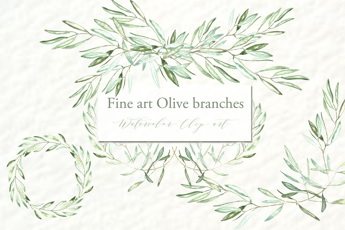 Olive branches. Watercolor clipart., an Illustration by LABFcreations (Photo 2 of 4)