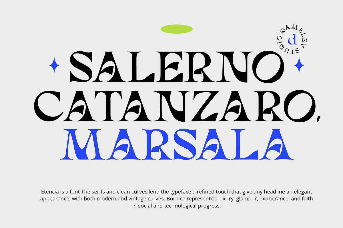 Eitencia, a Serif Font by Damelev (Photo 9 of 12)