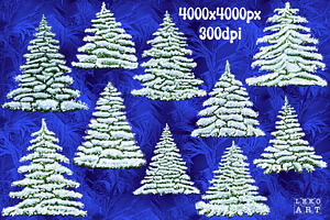 Christmas Trees Snow Covered