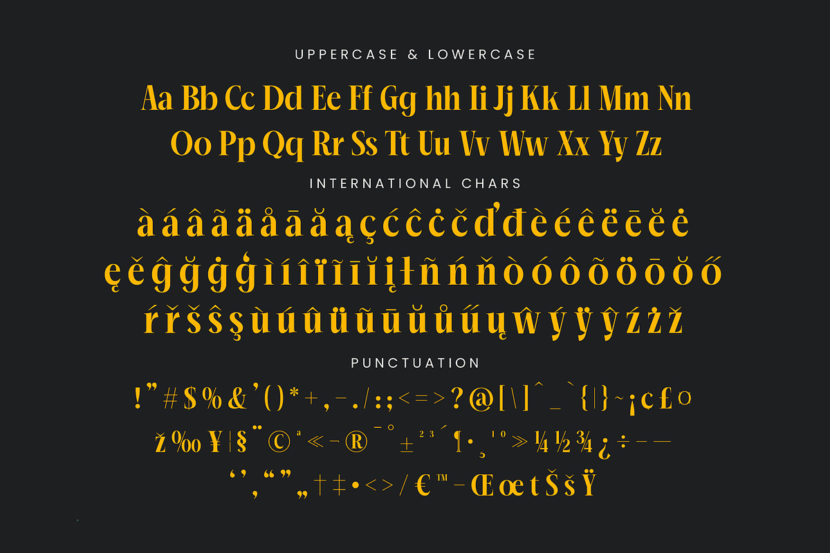 Mailyo Modern Serif Display Font, a Serif Font by timelesstype.co (Photo 18 of 20)