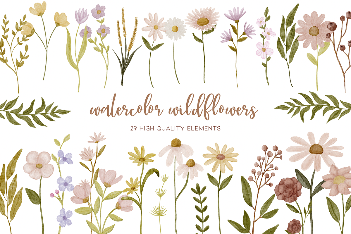 Watercolor Wild Flower Clipart, a Decorative Illustration by Murphy & Frank (Photo 1 of 9)