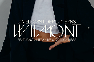 Wilmont - Elegant Ligature Font