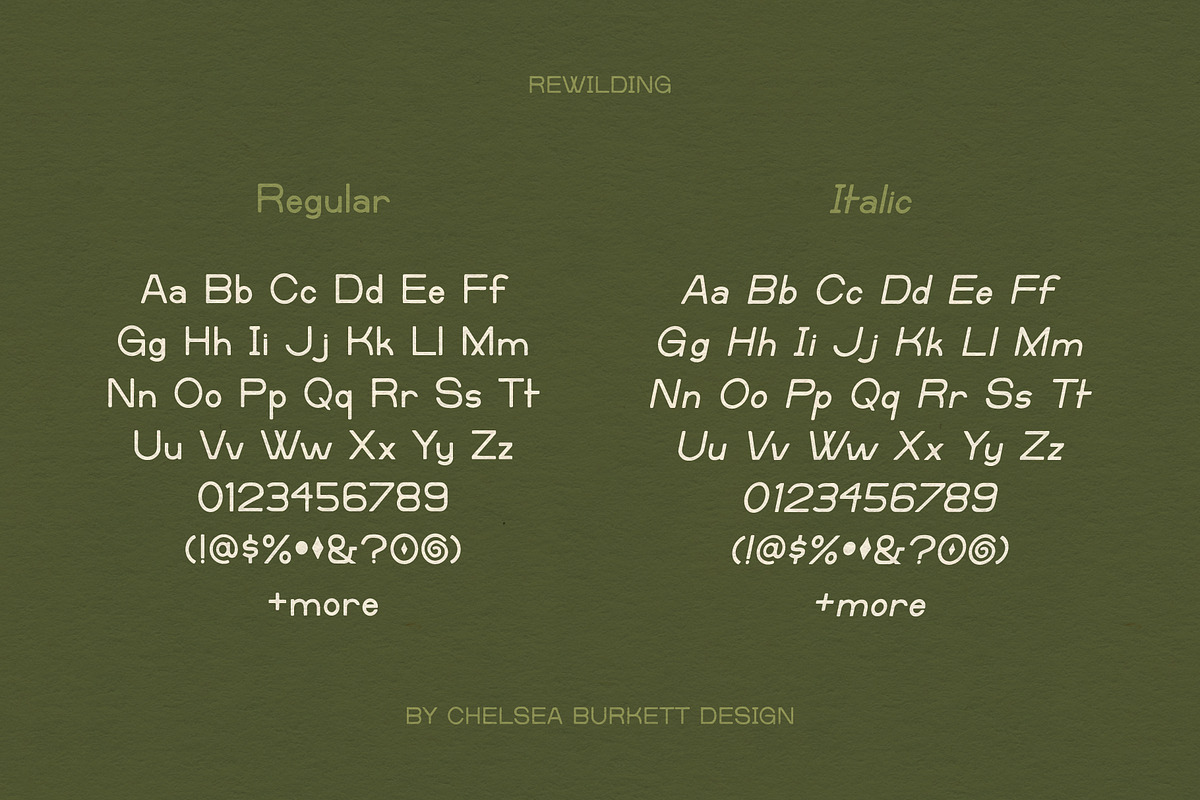 Rewilding, a Sans Serif Font by Chelsea Burkett (Photo 5 of 8)