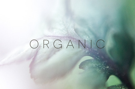 Organic | 20 Botanical Photos, a Nature Photo by Melanie Helena