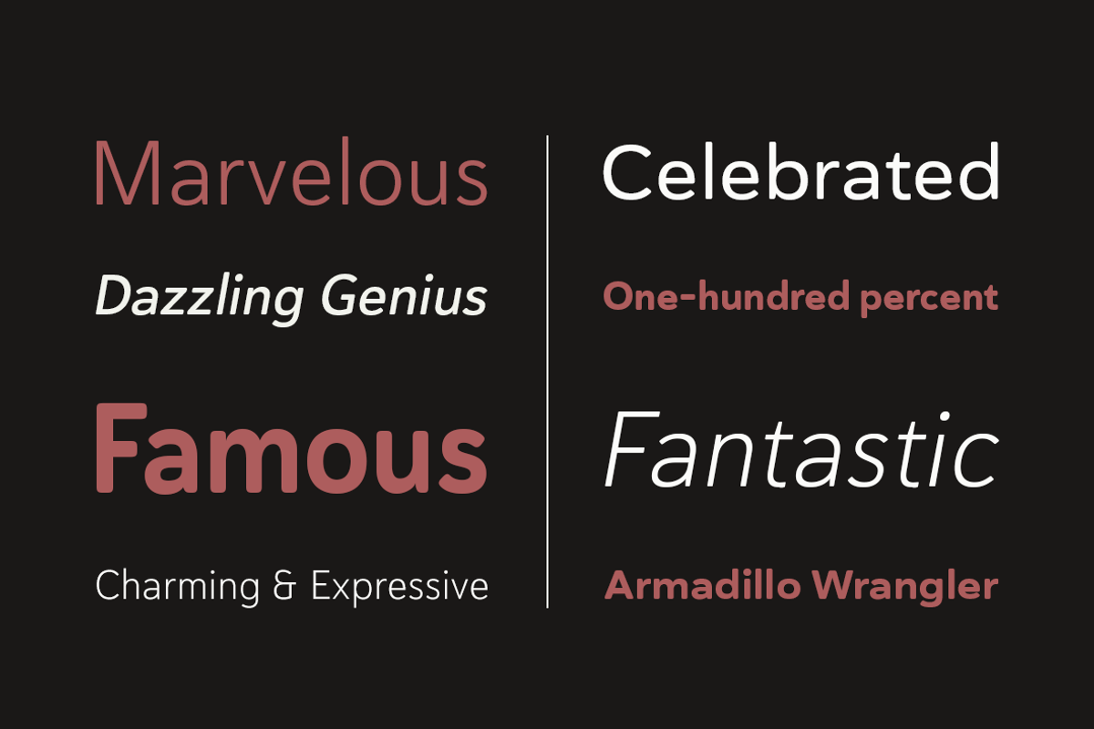 Haboro Soft, a Sans Serif Font by insigne (Photo 4 of 5)