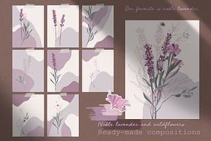 Noble Lavender