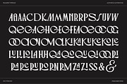PALMORE - Vintage Rounded Serif, a Serif Font by CCS Type (Thumbnail 24 of 24)