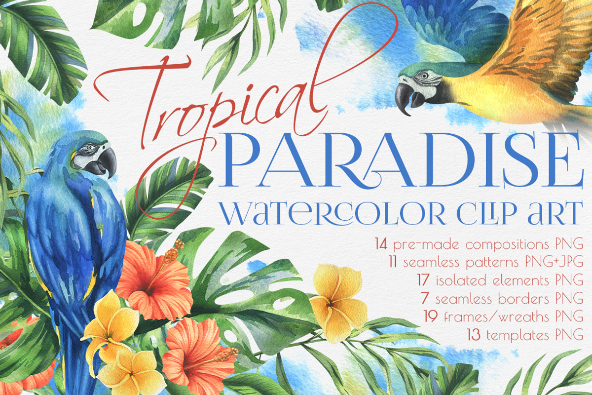 Parrots & tropical leaves watercolor, an Animal Illustration by NATASHA CHU (Photo 1 of 21)