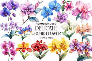Delicate Orchid Flower Clipart, an Illustration by Daily.Designs