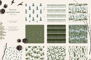 Forest Equilibrium Collection, an Animal Illustration by Julia Dreams (Thumbnail 6 of 8)