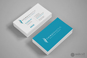 Chiropractic Logo Stationery, a Stationery Template by WebCraft (Thumbnail 9 of 9)