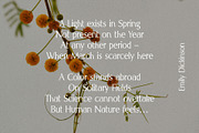 Spring Melody - Humanist Typeface, a Sans Serif Font by HipFonts (Thumbnail 6 of 7)
