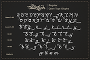 The Coventysh - Monoline Script Font, a Script Font by DiosiArt (Thumbnail 9 of 11)
