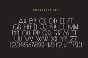 Wilshire Blvd Typeface, a Sans Serif Font by Wonder and Wander (Thumbnail 4 of 5)
