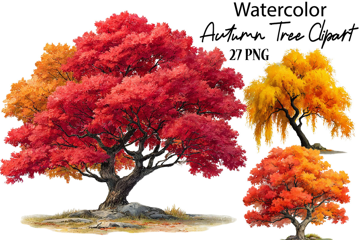 Watercolor Autumn Tree PNG Clipart, a Seasonal Illustration by SVGArt (Photo 1 of 5)