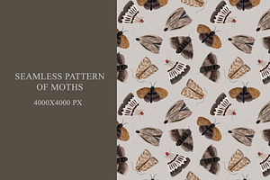 Seamless Pattern Of Moths