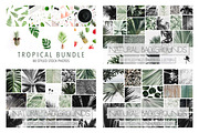 98% OFF | Tropical Bundle | 170 IN 1, a Photo by Floral Deco (Thumbnail 2 of 14)
