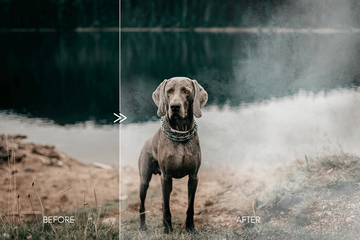 30 Real Fog & Mist Photo Overlays, a Layer Style Add-On by CityTurtles (Photo 3 of 8)